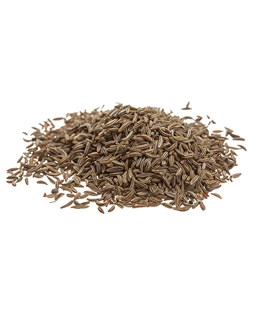 Caraway-Dried-Extract