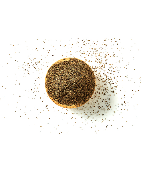 Celery-Seed-Oleoresin