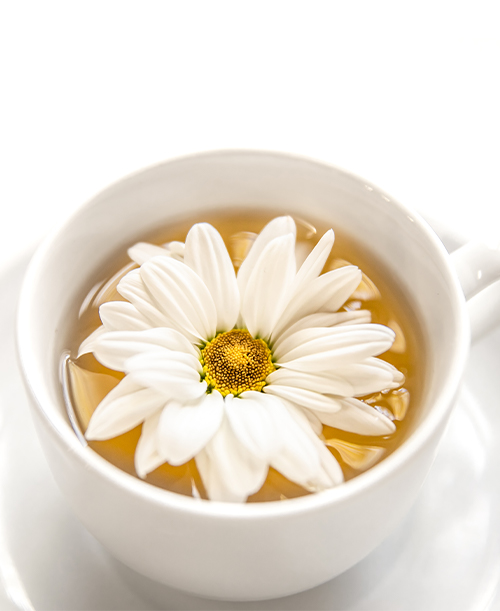 Chamomile-Soft-Extract