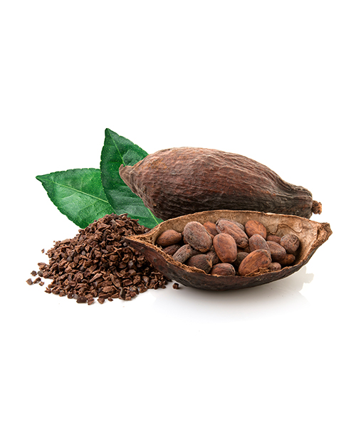 Cocoa-CO2-Extract