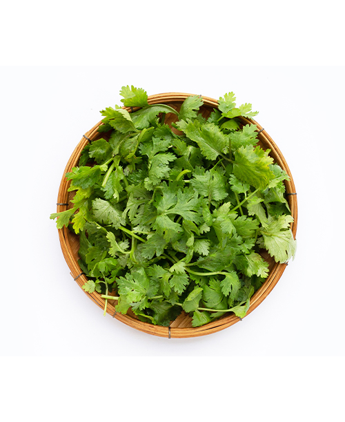 Coriander-Essential-Oil