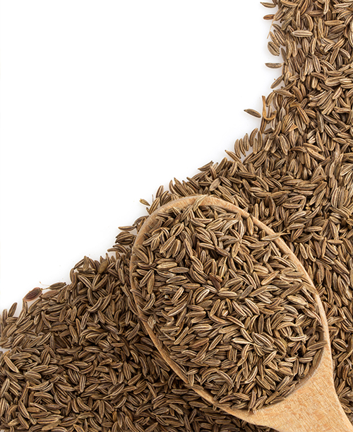 Cumin-Soft-Extract