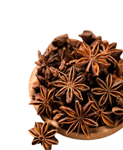 star-aniseOleoresin-removebg-preview